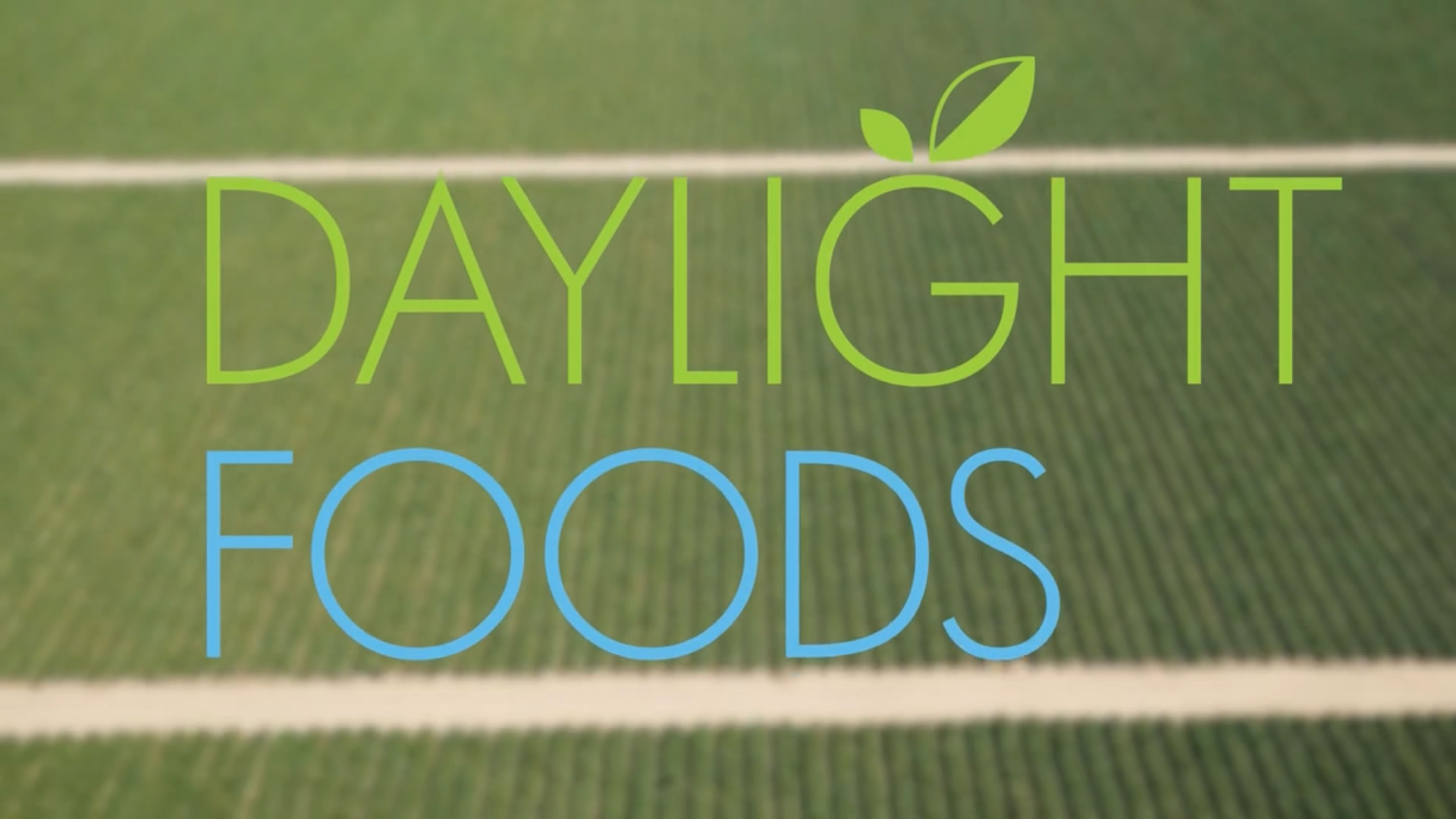 A Quick Look at Daylight Foods and Taylor Farms